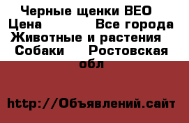 Черные щенки ВЕО › Цена ­ 5 000 - Все города Животные и растения » Собаки   . Ростовская обл.